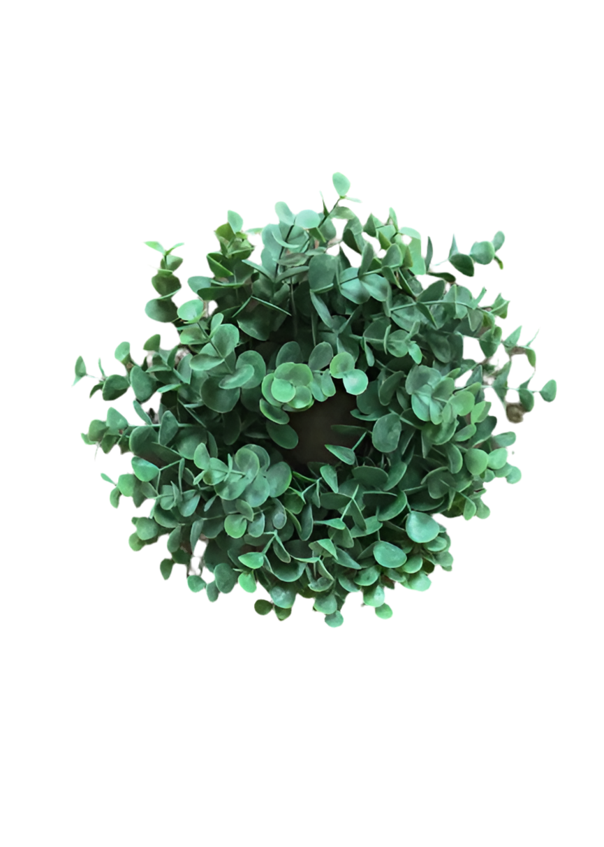 Eucalyptus Candle Ring