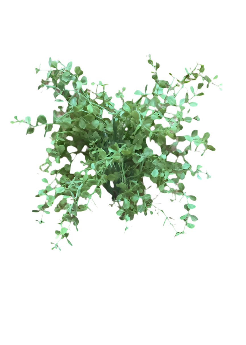 Whispey Greens Spray Stem