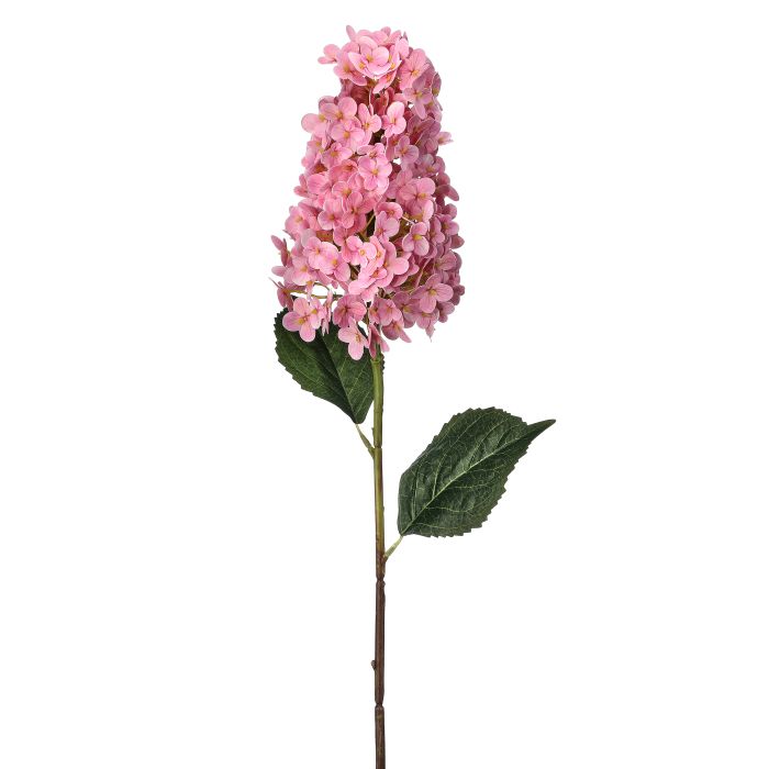 Summer Queen Hydrangea Stem