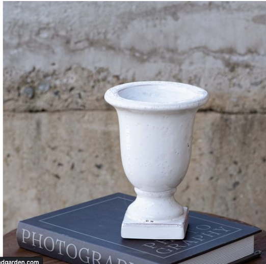 White Pedestal Vase