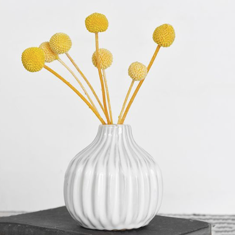 Decorative White Vase