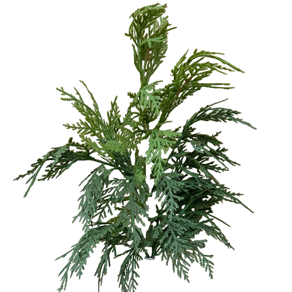 Artificial green plant against a wooden background