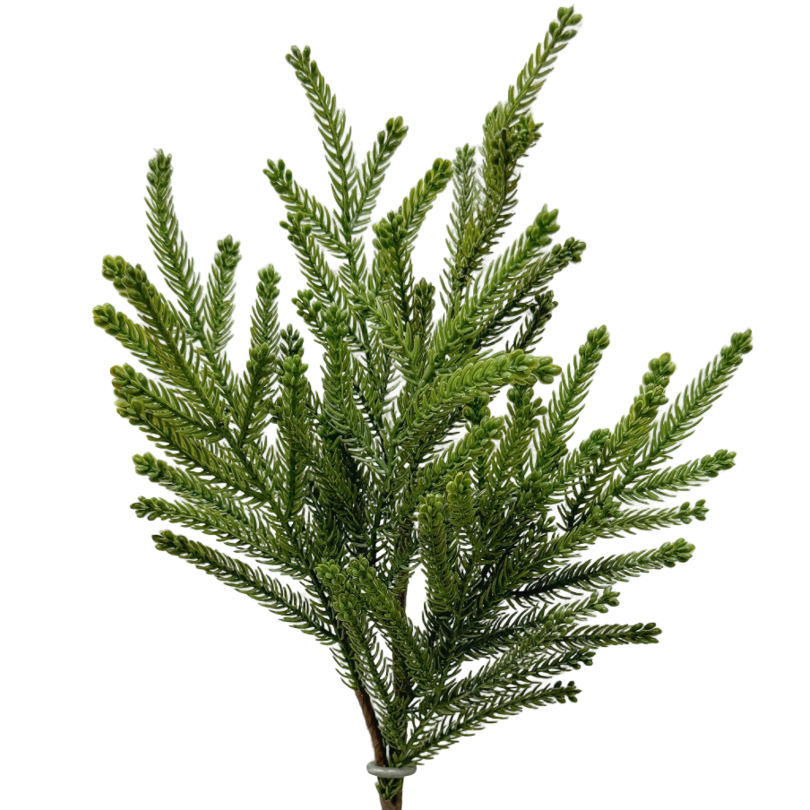 Real Touch Pine Stem