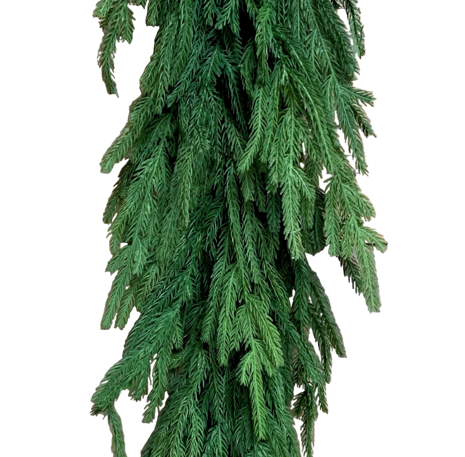 Green hanging plant against a wooden background