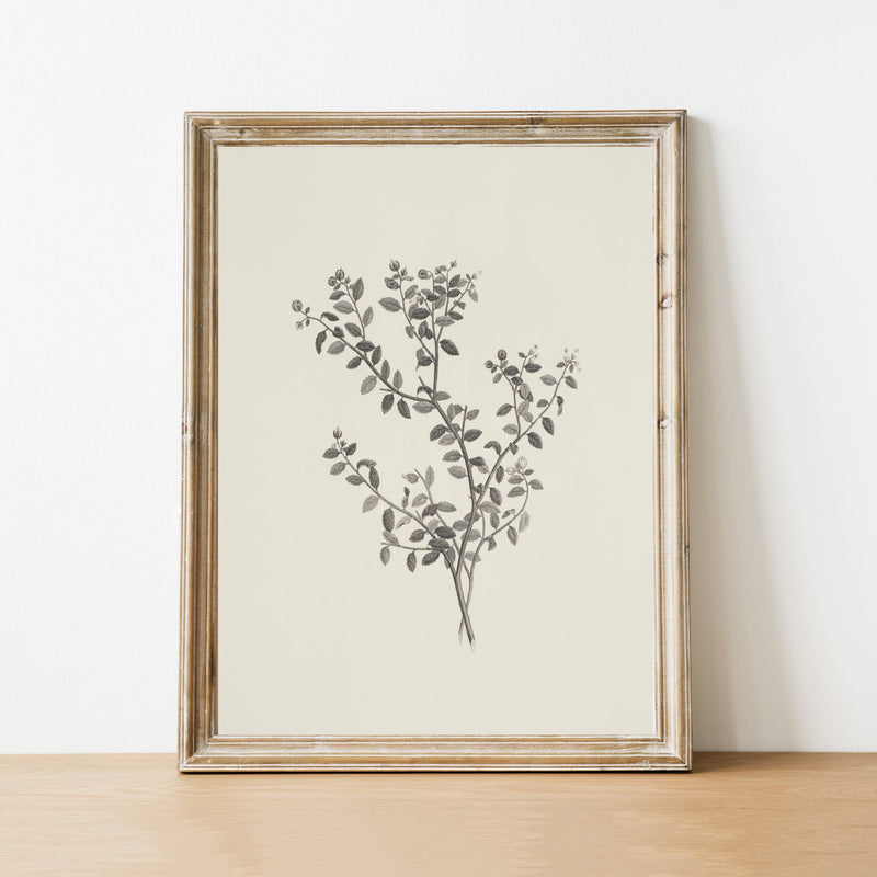 Leaf Print – PINK LEMON DECOR