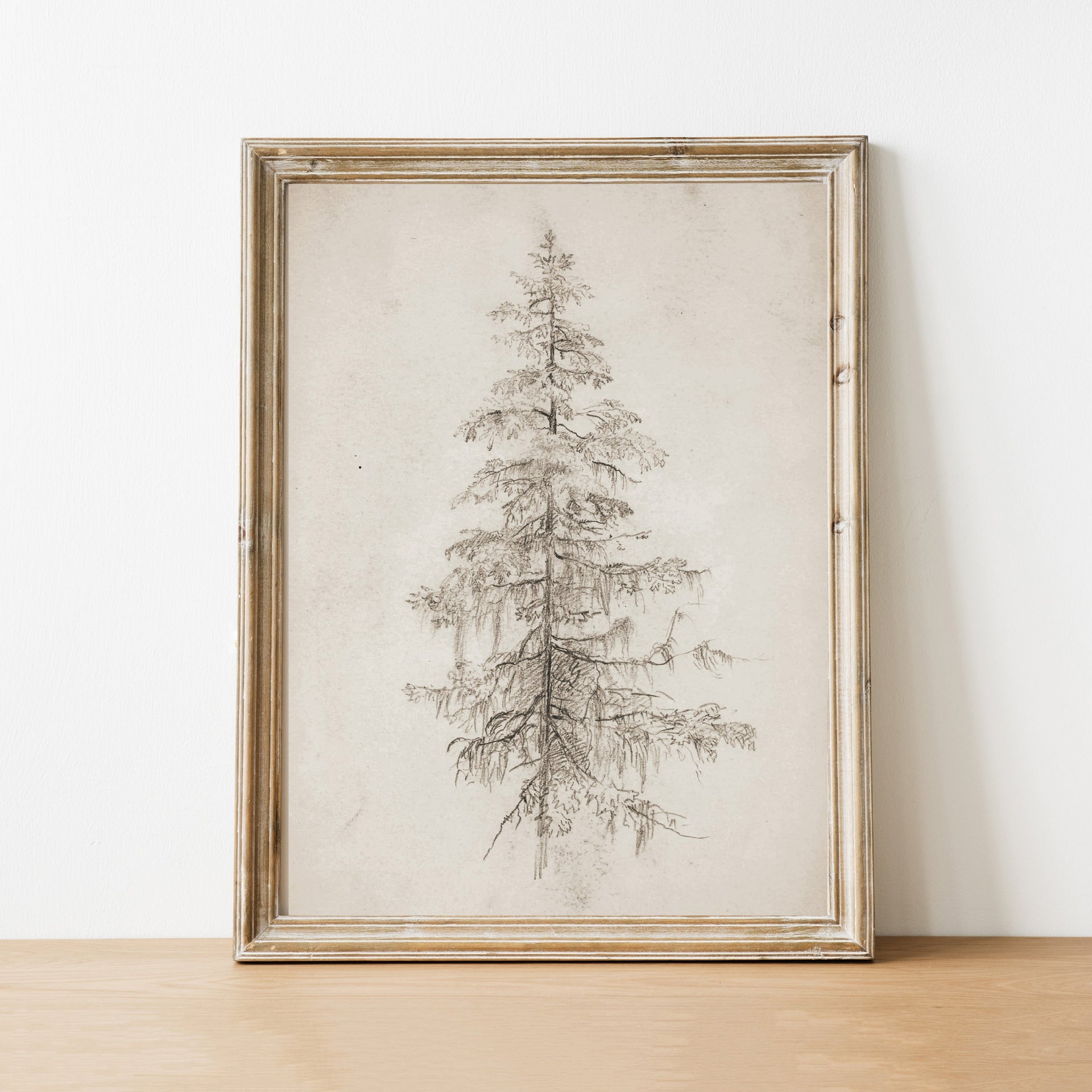 Tree Sketch