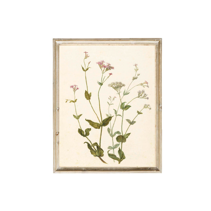 Vintage floral art. Canadian vintage art.