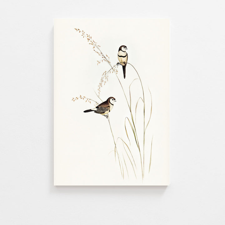 Vintage art prints. Birds vintage art print.