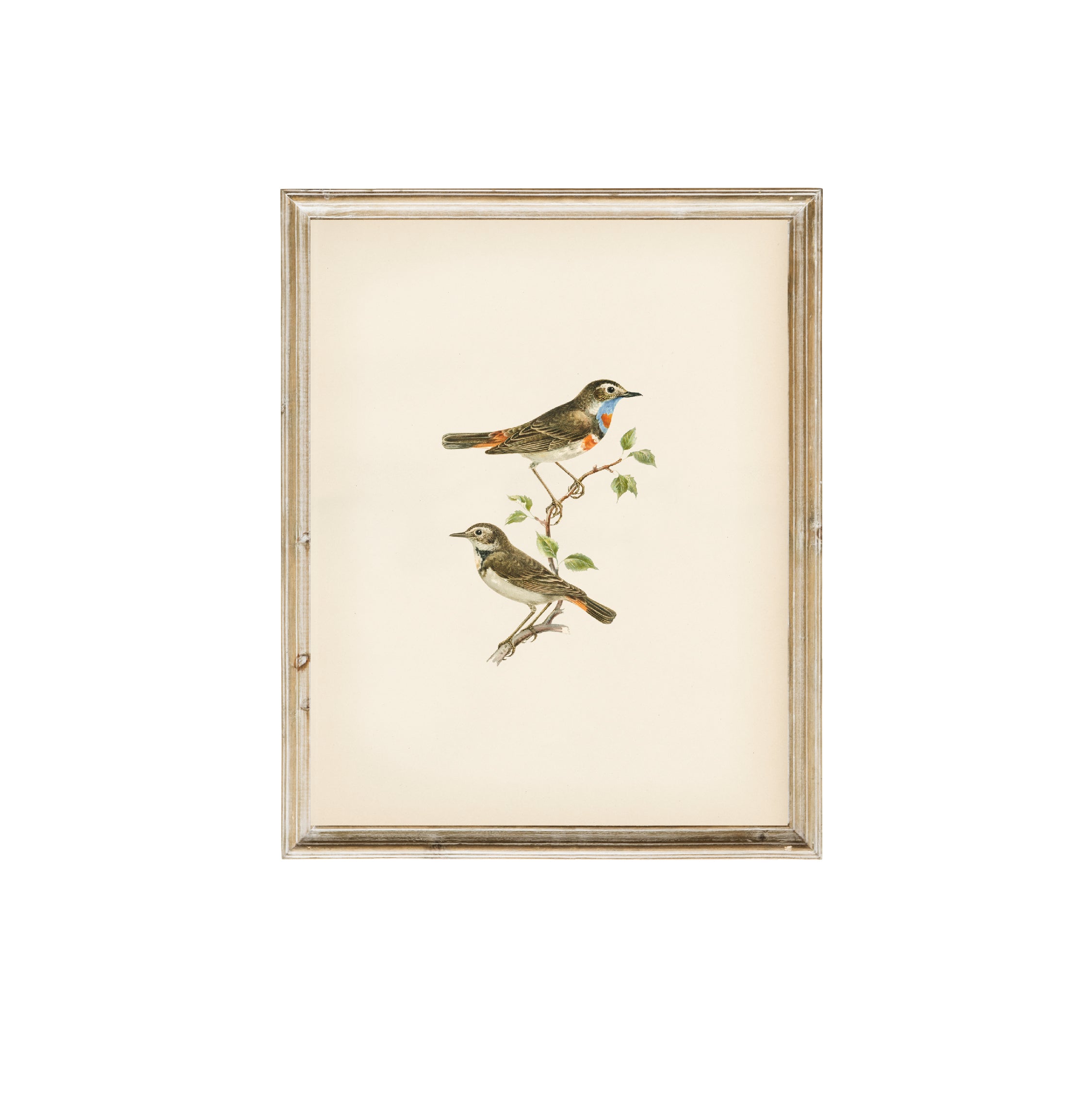 vintage print, vintage art, digital art, digital print, digital download, art print, gallery wall