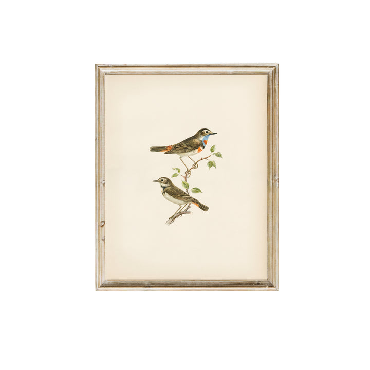 vintage print, vintage art, digital art, digital print, digital download, art print, gallery wall