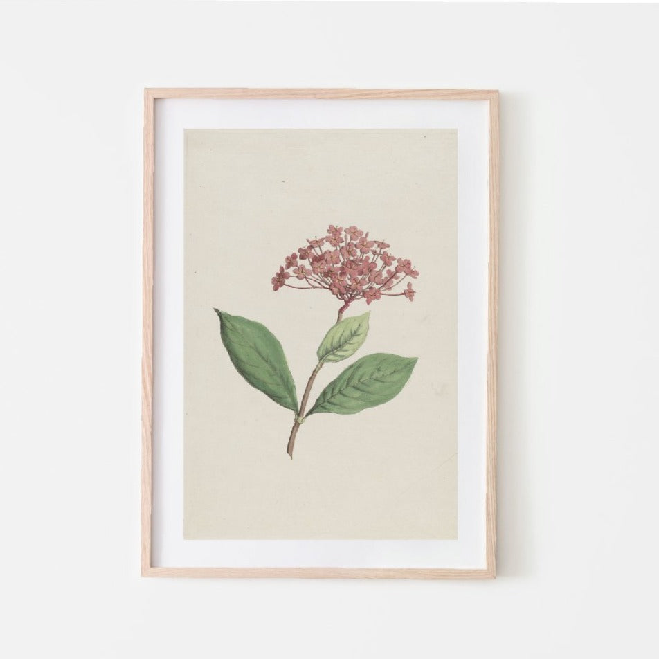 vintage print, vintage art, digital art, digital print, digital download, art print, gallery wall