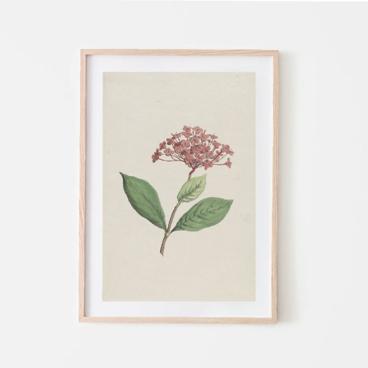 vintage print, vintage art, digital art, digital print, digital download, art print, gallery wall