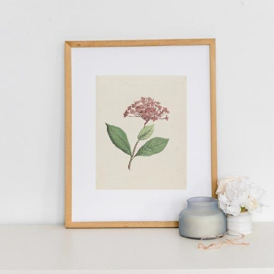vintage print, vintage art, digital art, digital print, digital download, art print, gallery wall