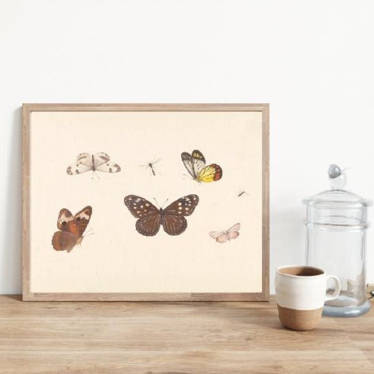 vintage print, vintage art, digital art, digital print, digital download, art print, gallery wall, butterfly
