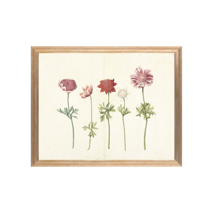 Vintage flowers art print