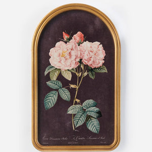 FRAMED VINTAGE ART COLLECTION