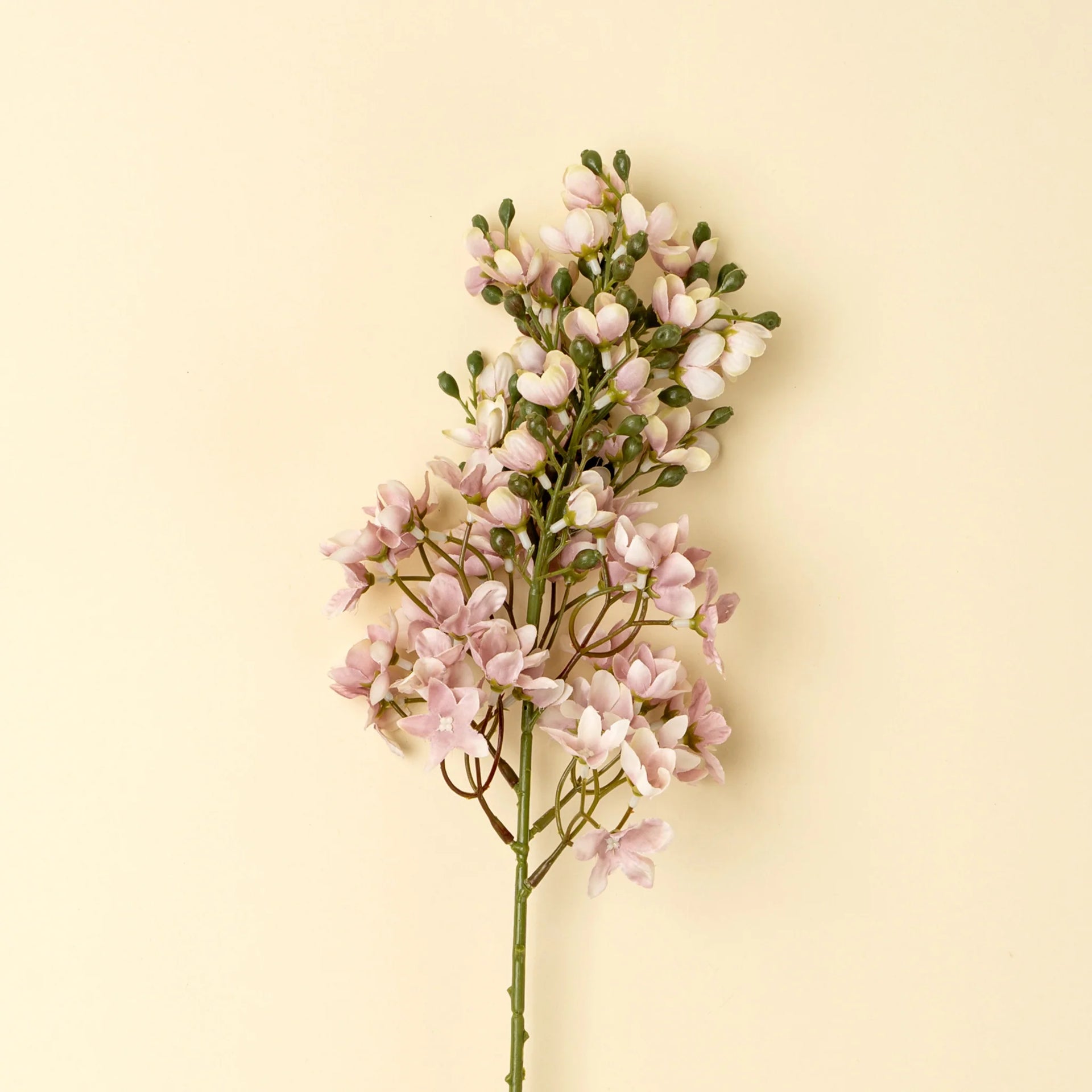 Pink Delphinium Floral Stem