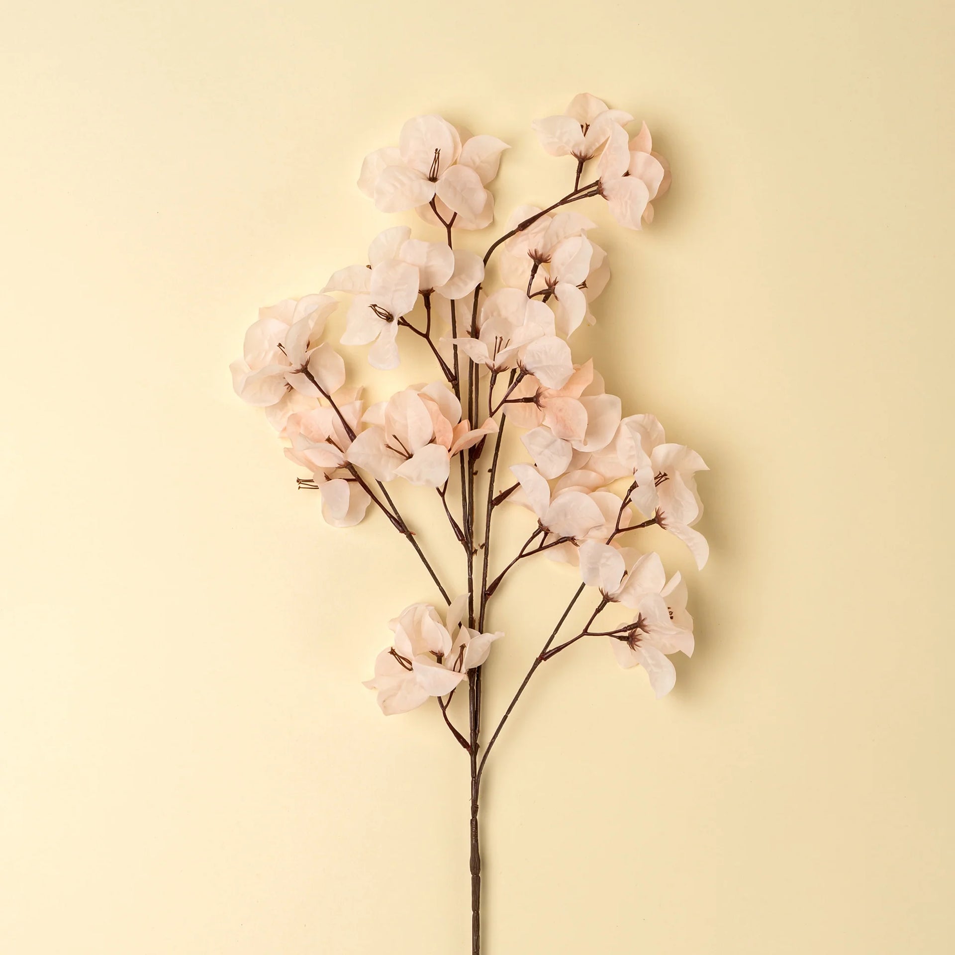 Light Pink Bougainvillea Spray
