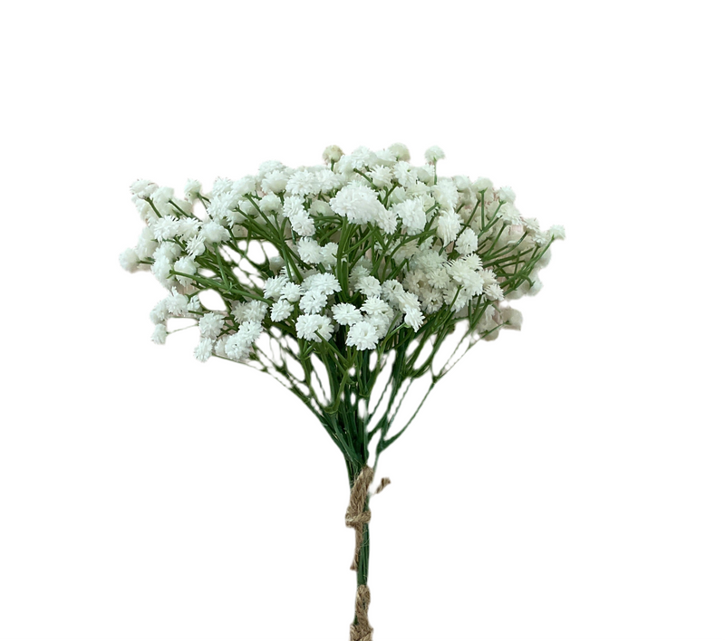 White Baby’s Breath Stem