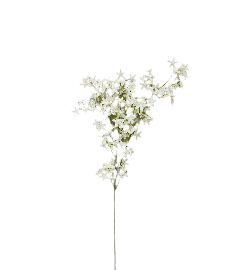 Clove Flower Spray