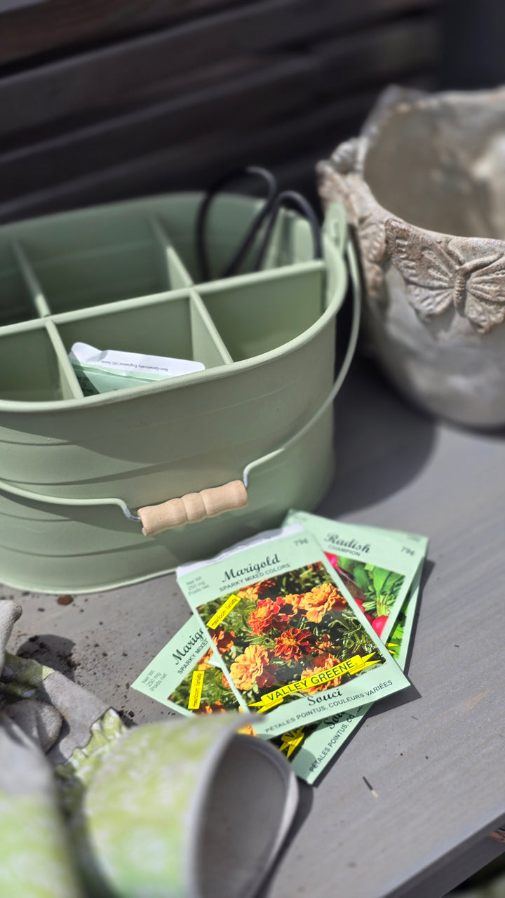 Seed packets on a table next to a seedling tray
