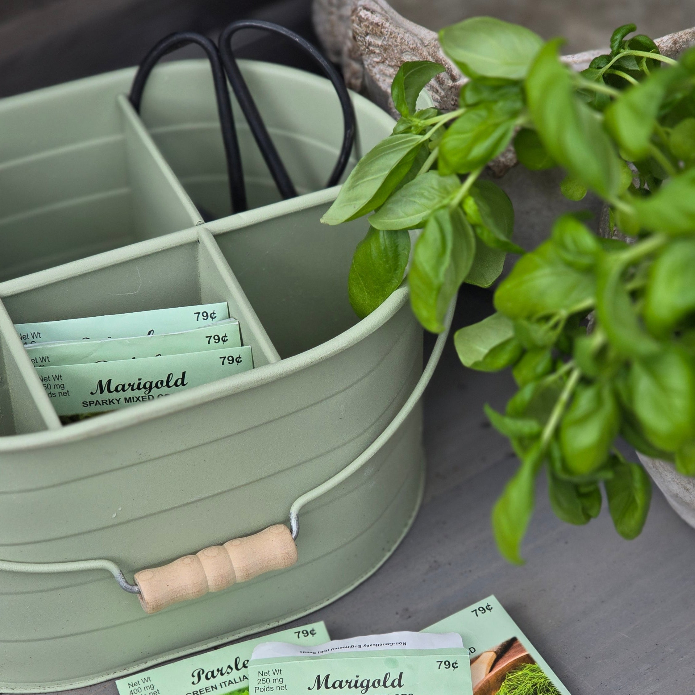 Seed packets on a tray with gardening tools and plants