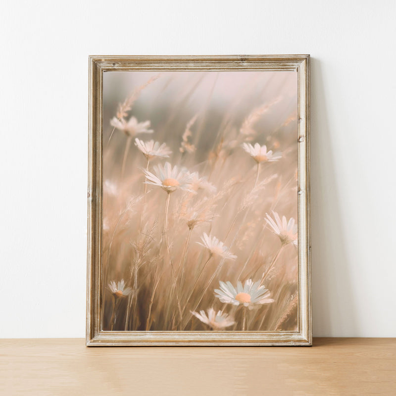 Spring Daisies Art Print