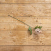 Autumn Cream Mum Stem