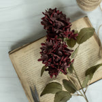 Burgundy Lilac Stem