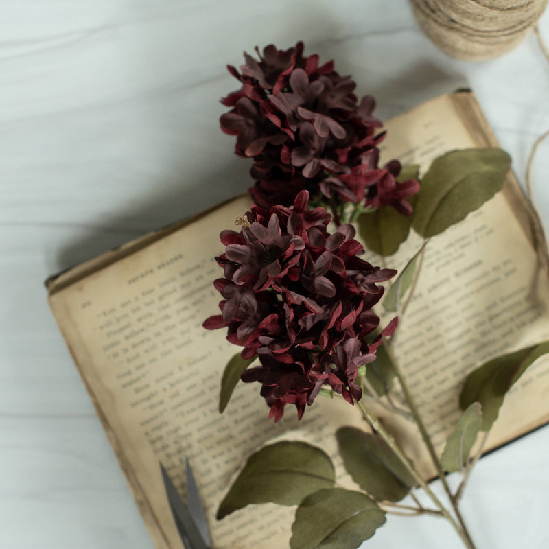 Burgundy Lilac Stem