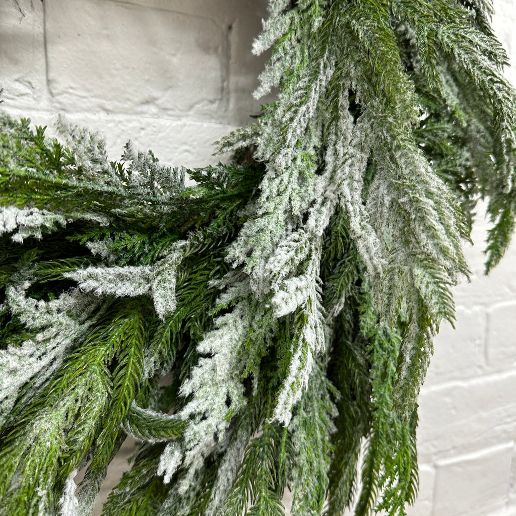 Norfolk Pine & Cedar Wreath