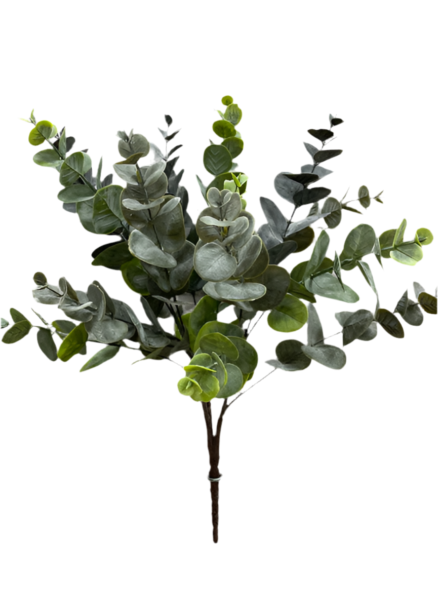 Eucalyptus Bunch