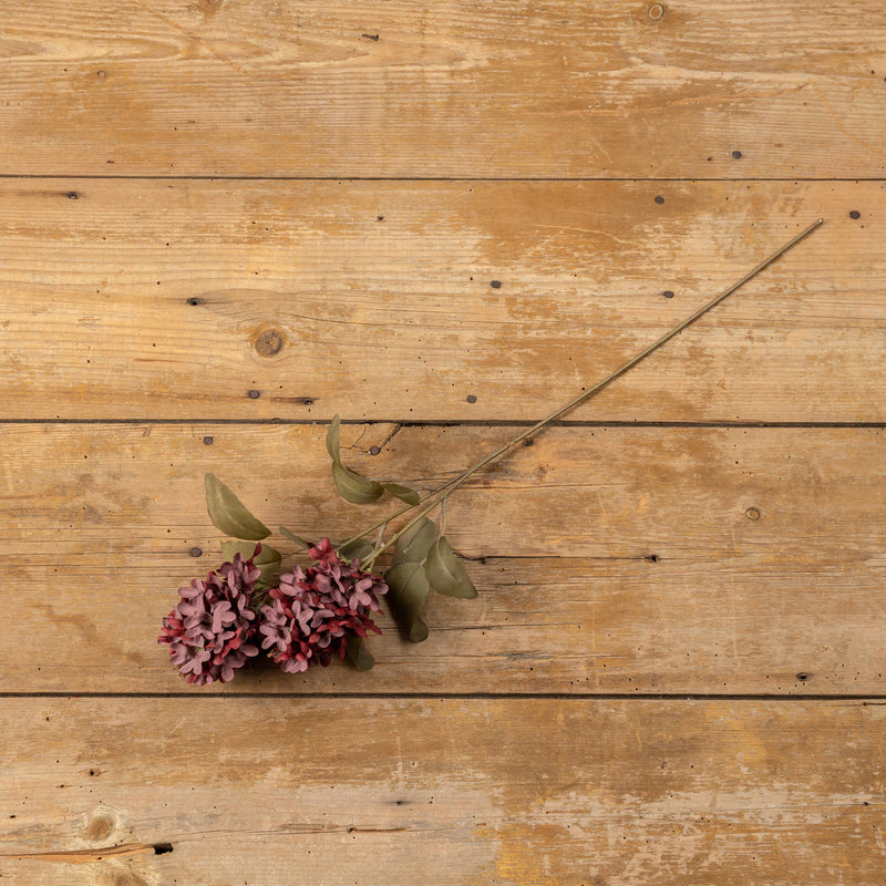 Burgundy Lilac Stem