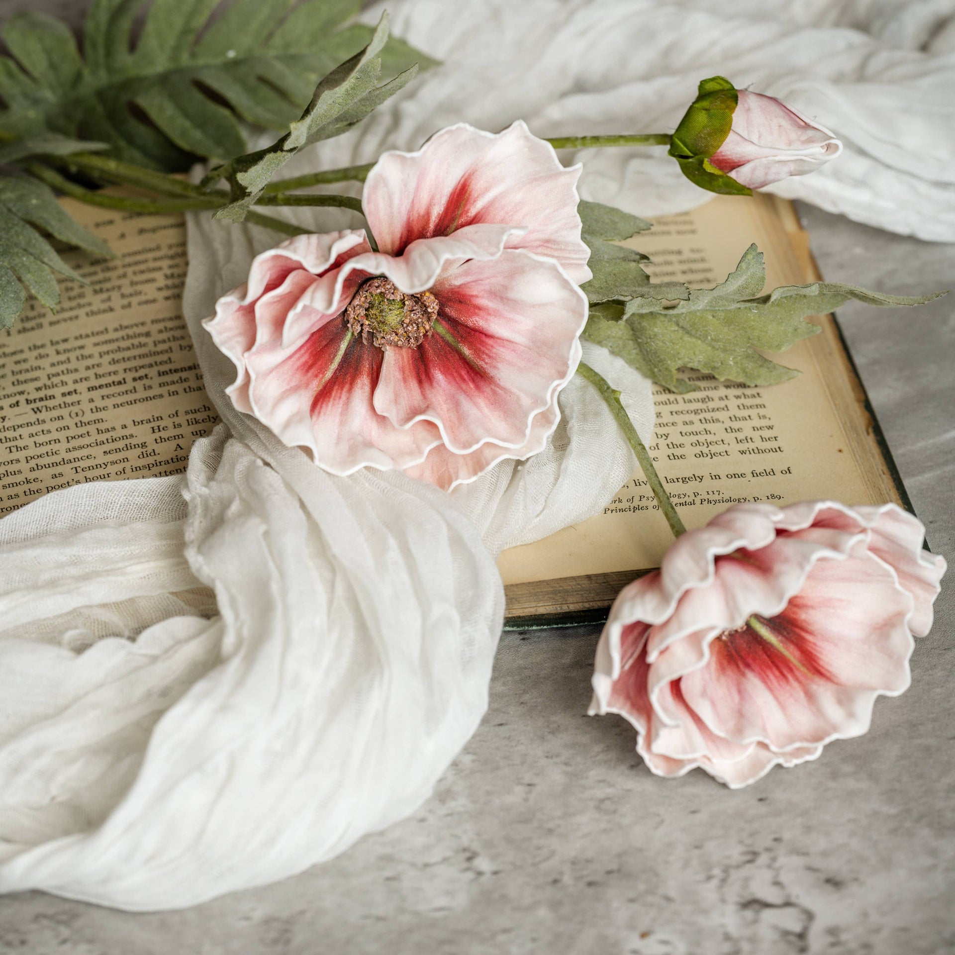 Light Pink Poppy Stem