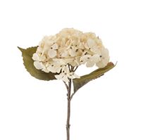 Hydrangea Floral Stem