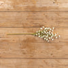 Cream Mini Daisy Stem