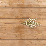 Cream Mini Daisy Stem