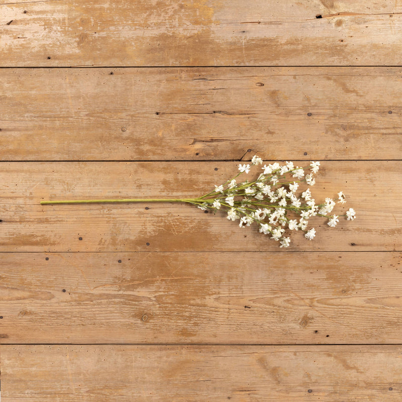 Cream Mini Daisy Stem