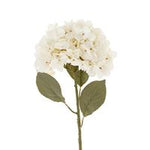 Hydrangea Floral Stem