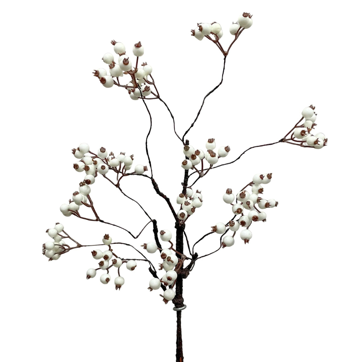 White Berry Spray