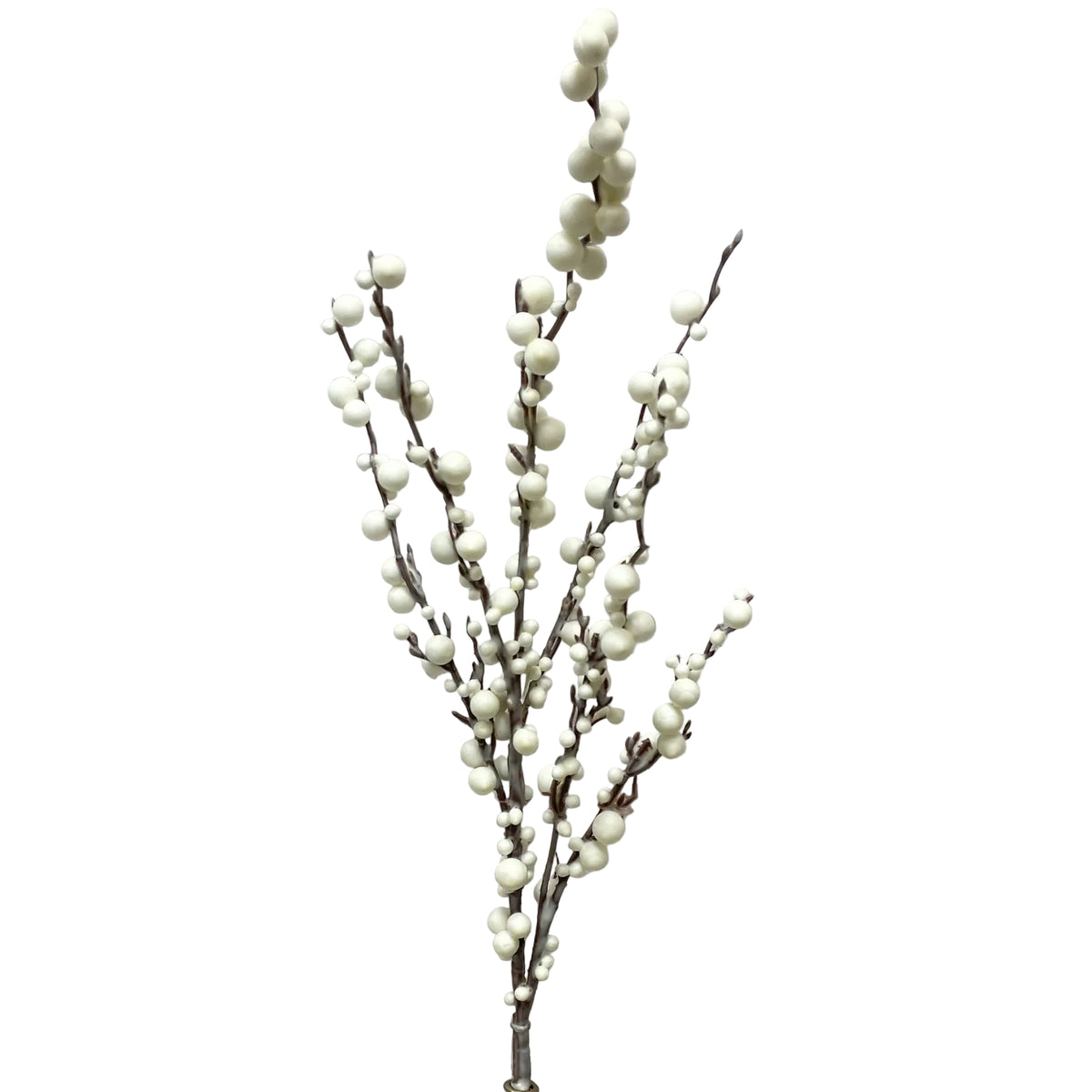 White Cluster Berry Spray