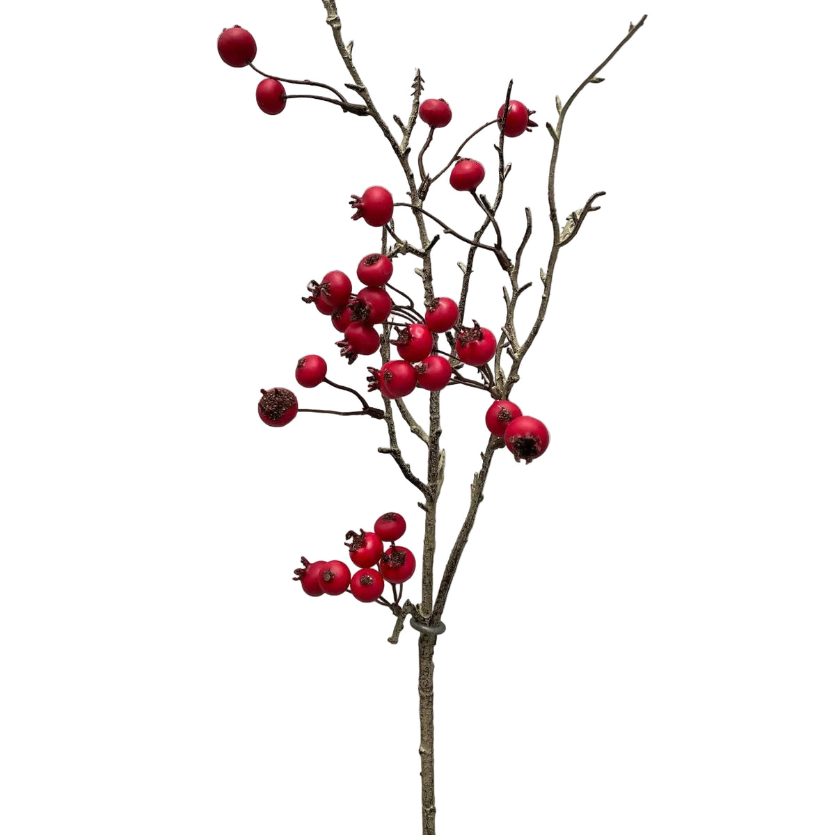 Red Twig Berry Spray