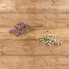 Cream Mini Daisy Stem