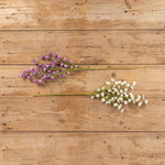 Cream Mini Daisy Stem