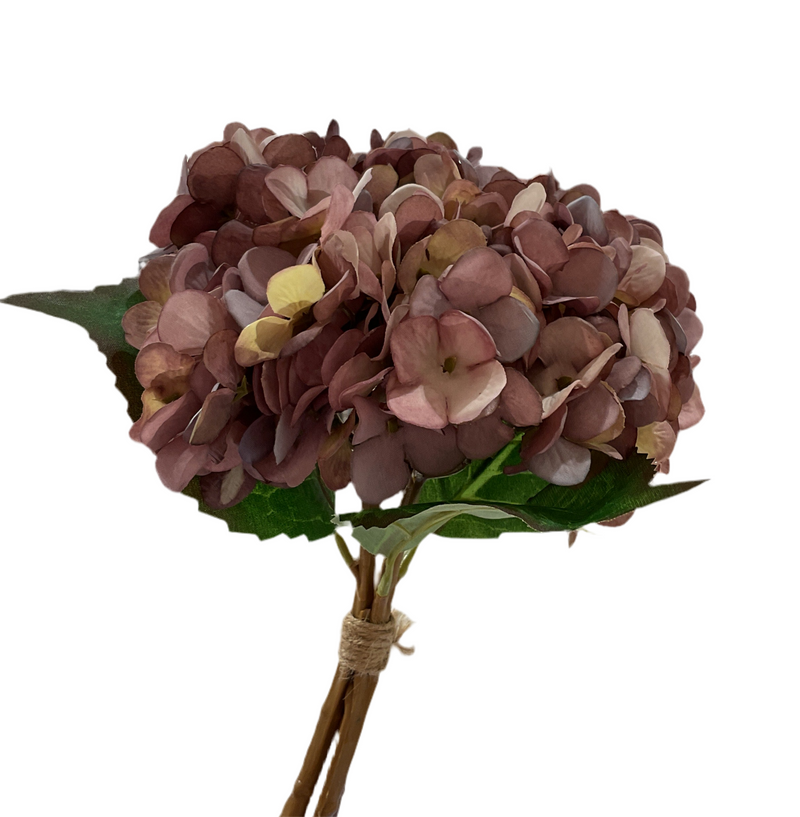 Purple Hydrangea
