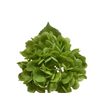 Real Touch Hydrangea Stem