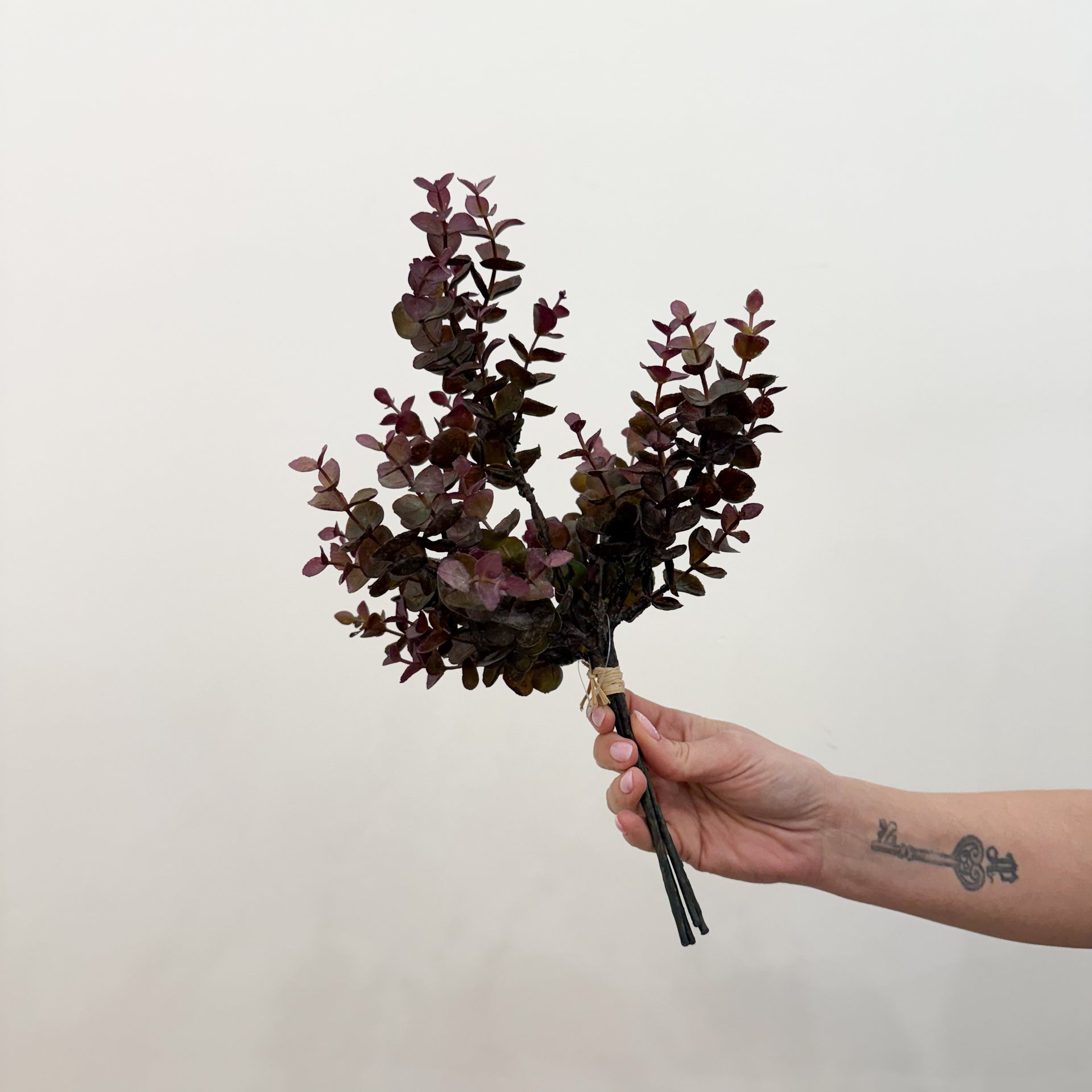 Burgundy Eucalyptus Stem