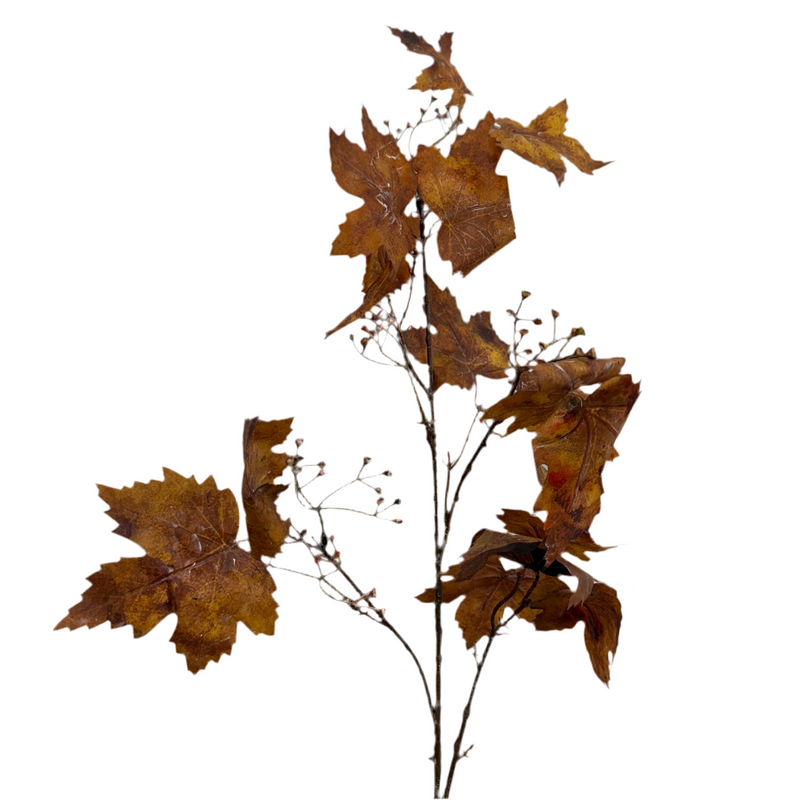Burnt Orange Leaf Stem