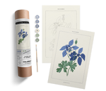 Blue Columbine Paint by Numbers Kit