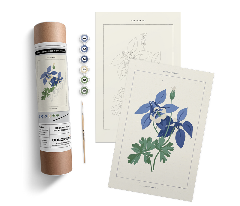 Blue Columbine Paint by Numbers Kit